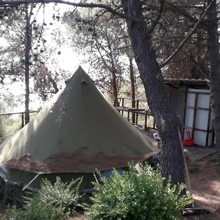 Holiday home Zelt 6 Camp West *