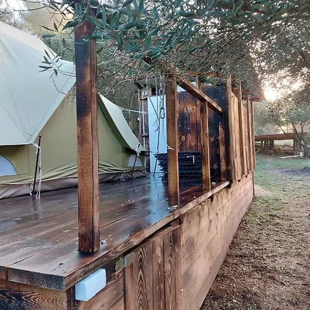 Zelt 6 Camp West